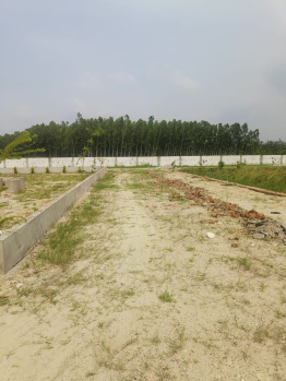 Residential Plot for Sale in Patanjali Yogpeeth, Haridwar (111 Sq. Yards)