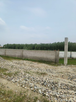Residential Plot for Sale in Patanjali Yogpeeth, Haridwar (150 Sq. Yards)