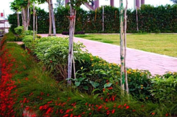 Property for sale in Ujjain Road, Indore