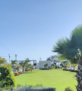 2 BHK Individual Houses / Villas for Rent in Bhawrasla, Indore (750 Sq.ft.)