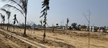 Agricultural/Farm Land for Sale in Bilaspur, Gurgaon (100 Acre)