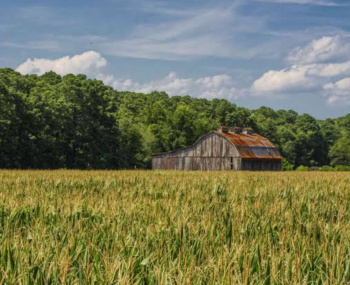 Property for sale in Jewar, Gautam Buddha Nagar