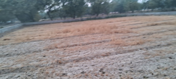 Property for sale in Jewar, Gautam Buddha Nagar