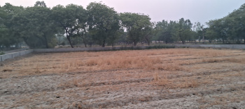 Property for sale in Jewar, Gautam Buddha Nagar