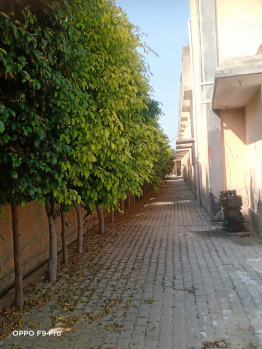 Commercial Lands /Inst. Land for Sale in Dankaur, Gautam Buddha Nagar (3024 Sq. Yards)