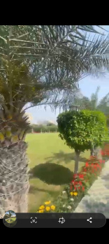Agricultural/Farm Land for Sale in Sector 150, Noida
