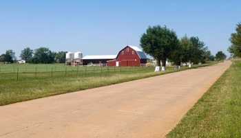 Agricultural/Farm Land for Sale in Jewar, Gautam Buddha Nagar (250 Bigha)