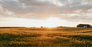 Property for sale in Jewar, Gautam Buddha Nagar