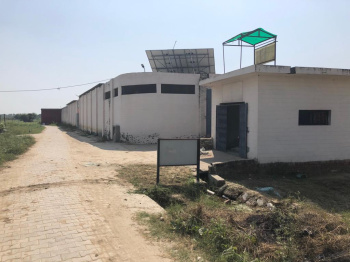 Agricultural/Farm Land for Sale in Gautam Buddha Nagar (170 Bigha)