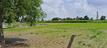 Agricultural/Farm Land for Sale in Gautam Buddha Nagar (44 Bigha)