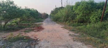 Commercial Lands /Inst. Land for Sale in Dankaur, Gautam Buddha Nagar (300 Sq.ft.)