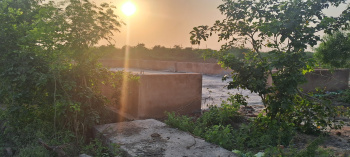 Commercial Lands /Inst. Land for Sale in Dankaur, Gautam Buddha Nagar (620 Sq.ft.)