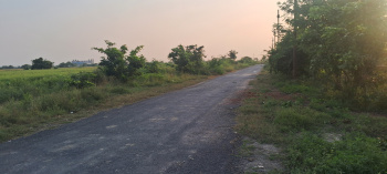 Commercial Lands /Inst. Land for Sale in Dankaur, Gautam Buddha Nagar (320 Sq. Meter)