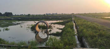 Commercial Lands /Inst. Land for Sale in Dankaur, Gautam Buddha Nagar (2400 Sq. Meter)