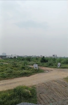 Commercial Lands /Inst. Land for Sale in Dankaur, Gautam Buddha Nagar (100 Sq. Meter)
