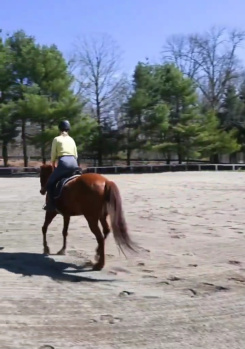 Farm House for Sale in Sector 150, Noida (1000 Sq. Yards)