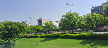 3 BHK Flats & Apartments for Sale in Yamuna Expressway, Greater Noida (1450 Sq.ft.)