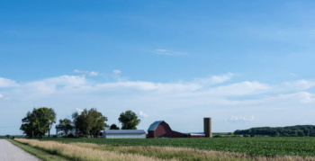 Agricultural/Farm Land for Sale in Achheja, Gautam Buddha Nagar (40 Bigha)