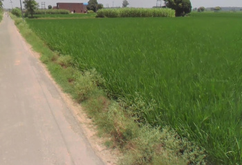 40 Bigha Industrial Land / Plot for Sale in Lalru, Mohali (8 Acre)