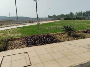 Property for sale in Lalru, Mohali