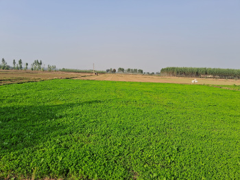 Property for sale in Nh 44, Rajpura