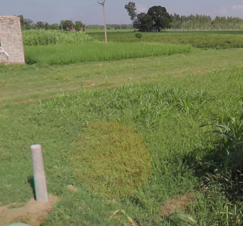 Property for sale in Lalru, Mohali