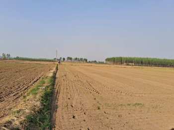 Industrial land near Ambala Naraingarh riad Handesra