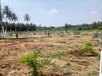 Property for sale in Kinathukadavu, Coimbatore