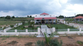 10890 Sq.ft. Agricultural/Farm Land for Sale in Hosur, Bangalore