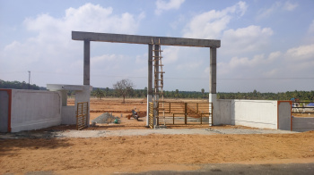 1500 Sq.ft. Residential Plot for Sale in Pollachi, Coimbatore