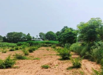 10.7 Bigha Agricultural/Farm Land for Sale in Dudu, Jaipur