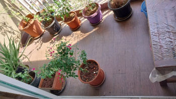 Property for sale in Mulund West, Mumbai