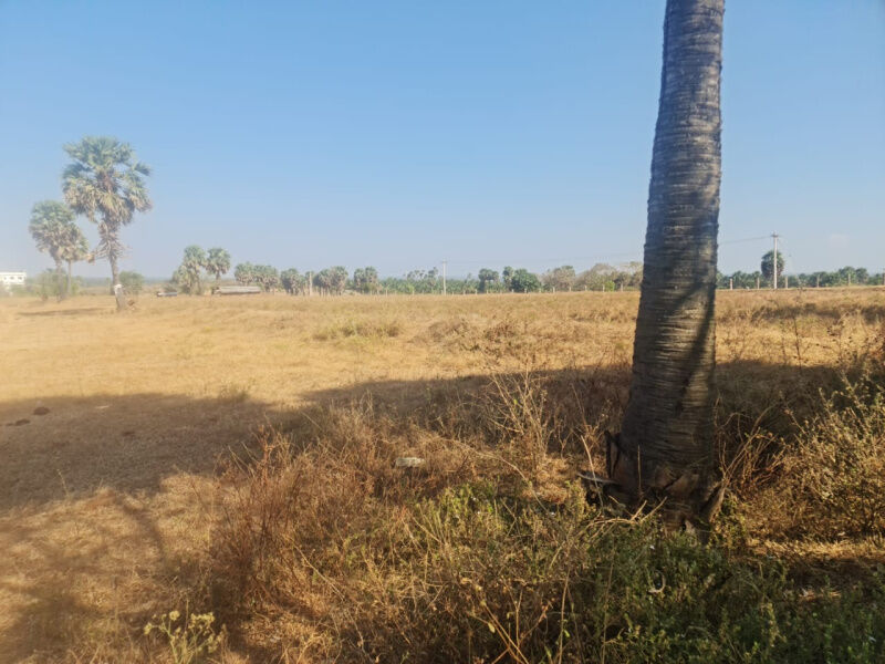 2.75 Acre Agricultural/Farm Land For Sale In Pollachi, Coimbatore