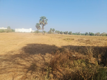 2.75 Acre Agricultural/Farm Land for Sale in Kinathukadavu, Coimbatore