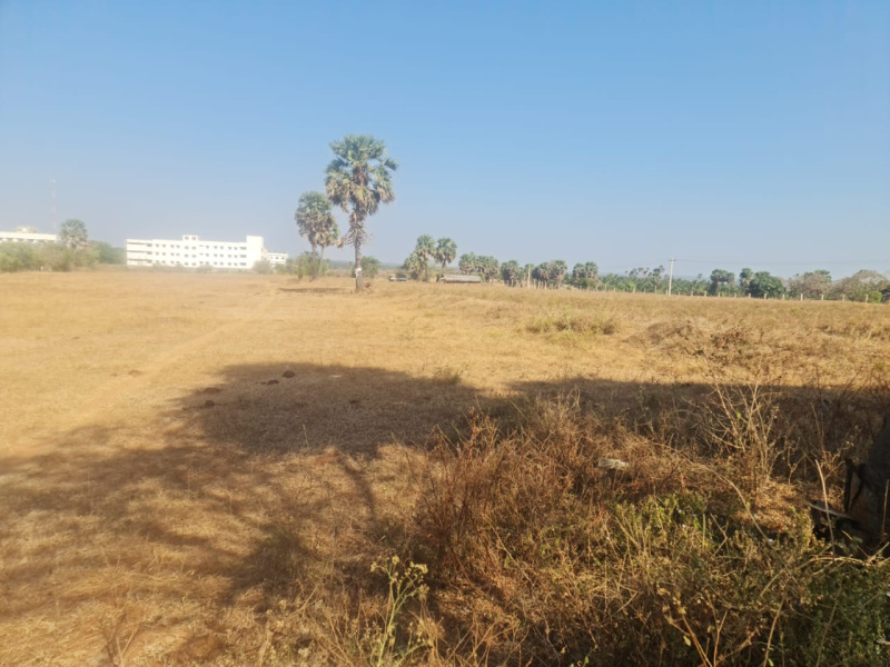 2.75 Acre Agricultural/Farm Land For Sale In Kinathukadavu, Coimbatore