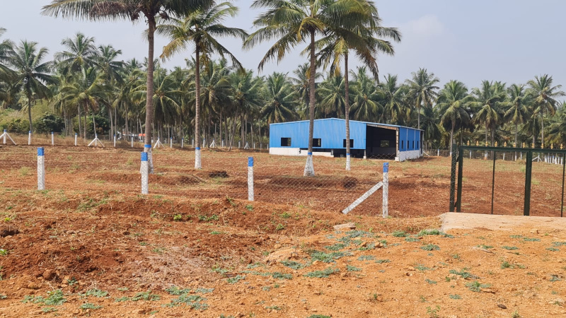3.15 Acre Agricultural/Farm Land for Sale in Pollachi, Coimbatore