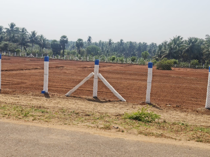 2 Acre Agricultural/Farm Land For Sale In Thamaraikulam, Theni