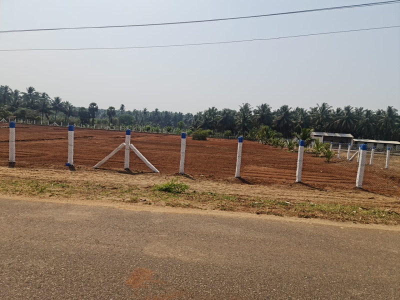 2 Acre Agricultural/Farm Land for Sale in Thamaraikulam, Theni