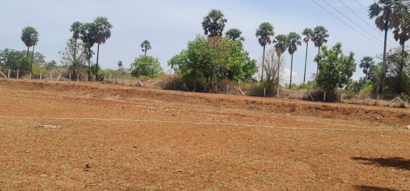 2.07 Cent Agricultural/Farm Land for Sale in Pollachi, Coimbatore