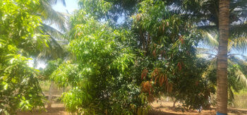 2.07 Cent Agricultural/Farm Land for Sale in Pollachi, Coimbatore