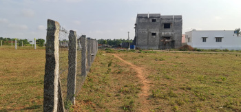 3 BHK Farm House for Sale in Kinathukadavu, Coimbatore (41 Cent)