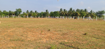 Property for sale in Kinathukadavu, Coimbatore