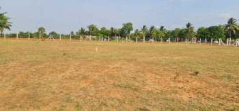 Property for sale in Kinathukadavu, Coimbatore