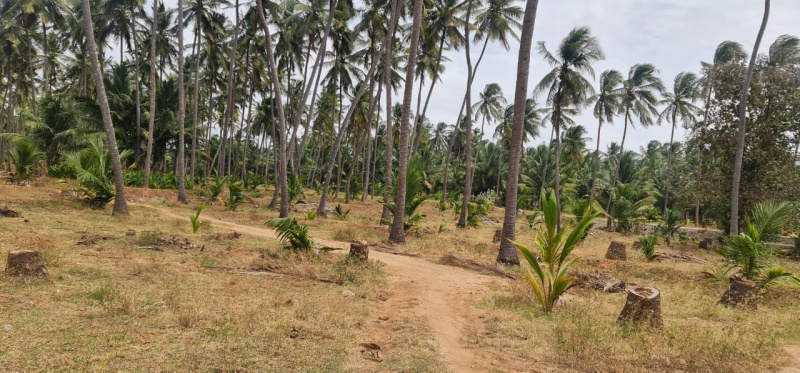 10 Acre Agricultural/Farm Land for Sale in Tamil Nadu