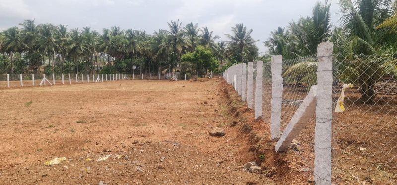 50 Cent Agricultural/Farm Land for Sale in Tamil Nadu