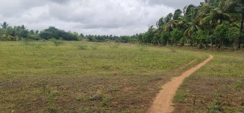 2.3 Acre Agricultural/Farm Land for Sale in Tamil Nadu