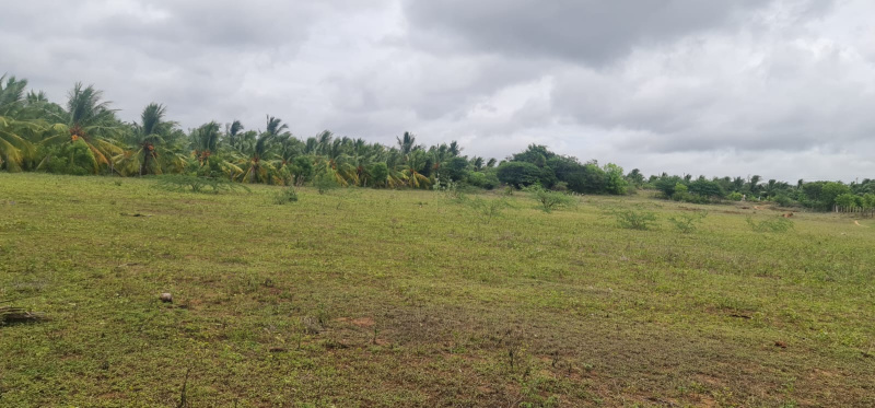 2.3 Acre Agricultural/Farm Land for Sale in Tamil Nadu