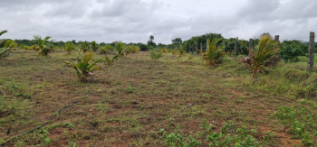 1 Acre Agricultural/Farm Land for Sale in Tamil Nadu