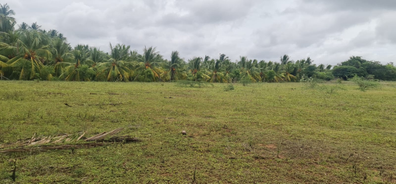 2.7 Acre Agricultural/Farm Land for Sale in Tamil Nadu