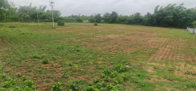 1.68 Acre Agricultural/Farm Land for Sale in Kinathukadavu, Coimbatore
